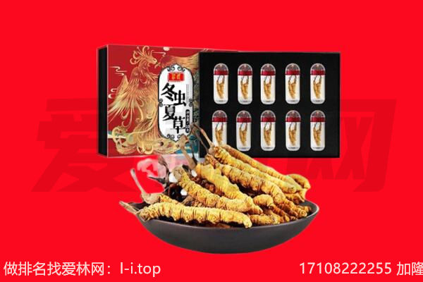 襄阳宜城市回收虫草.jpg